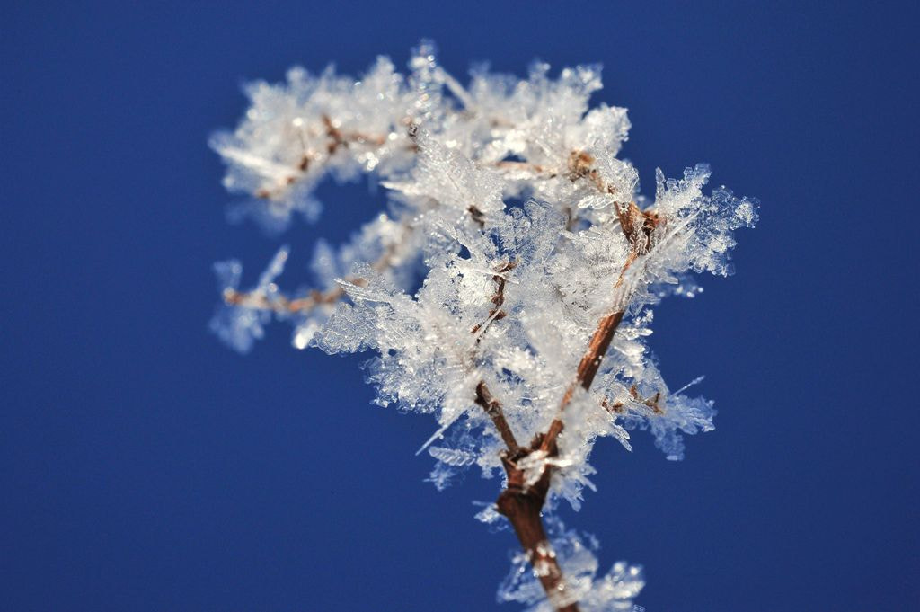 Nikon D3S + Nikon AF-S Micro-Nikkor 60mm F2.8G ED sample photo. Just because, crystal photography