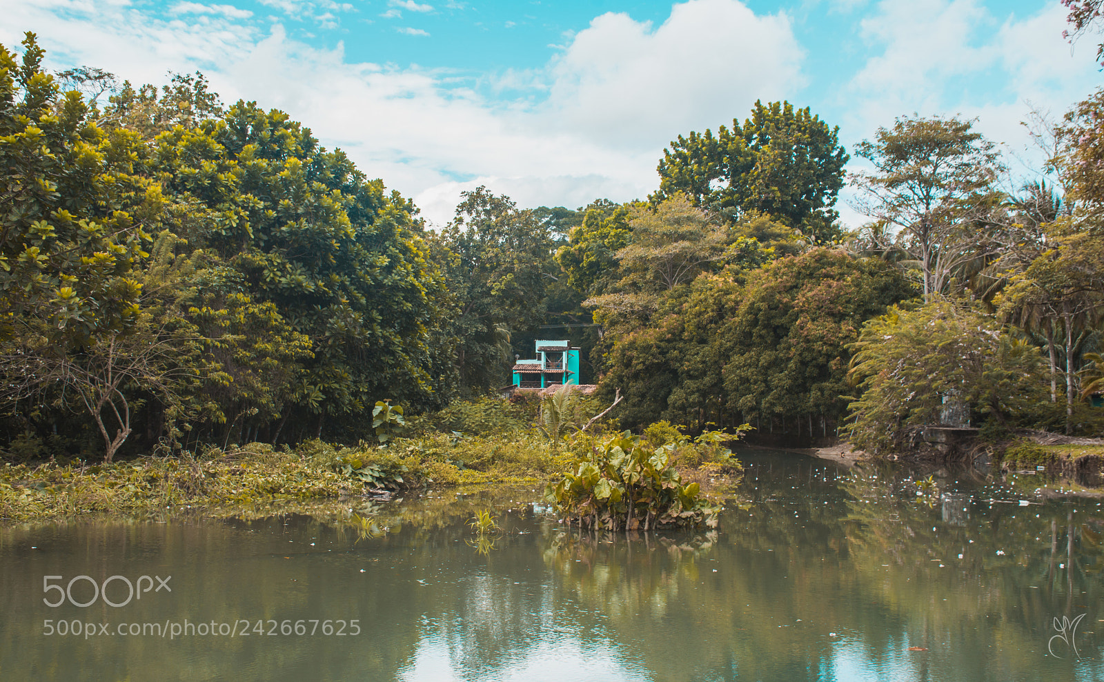 Nikon D7200 sample photo. Calma. photography