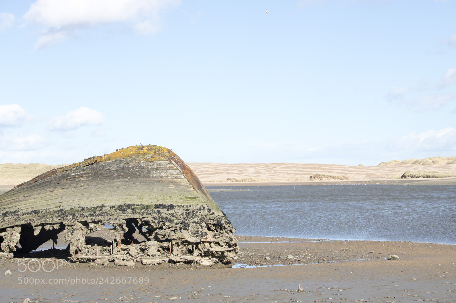 Canon EOS 750D (EOS Rebel T6i / EOS Kiss X8i) sample photo. View of wreck on photography