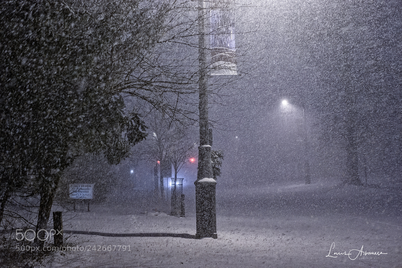 Canon EOS-1D X sample photo. Midnight snow photography