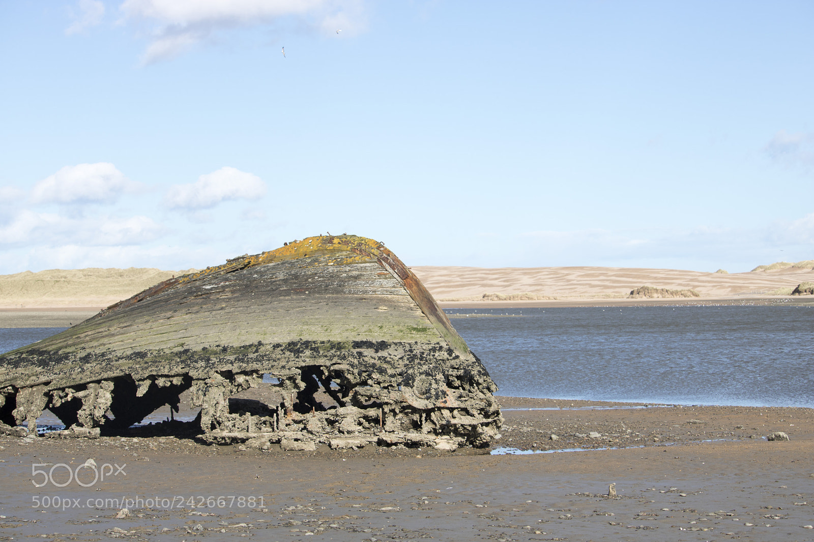 Canon EOS 750D (EOS Rebel T6i / EOS Kiss X8i) sample photo. View of wreck on photography