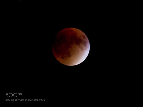 Canon EOS 60D sample photo. Total lunar eclipse of photography