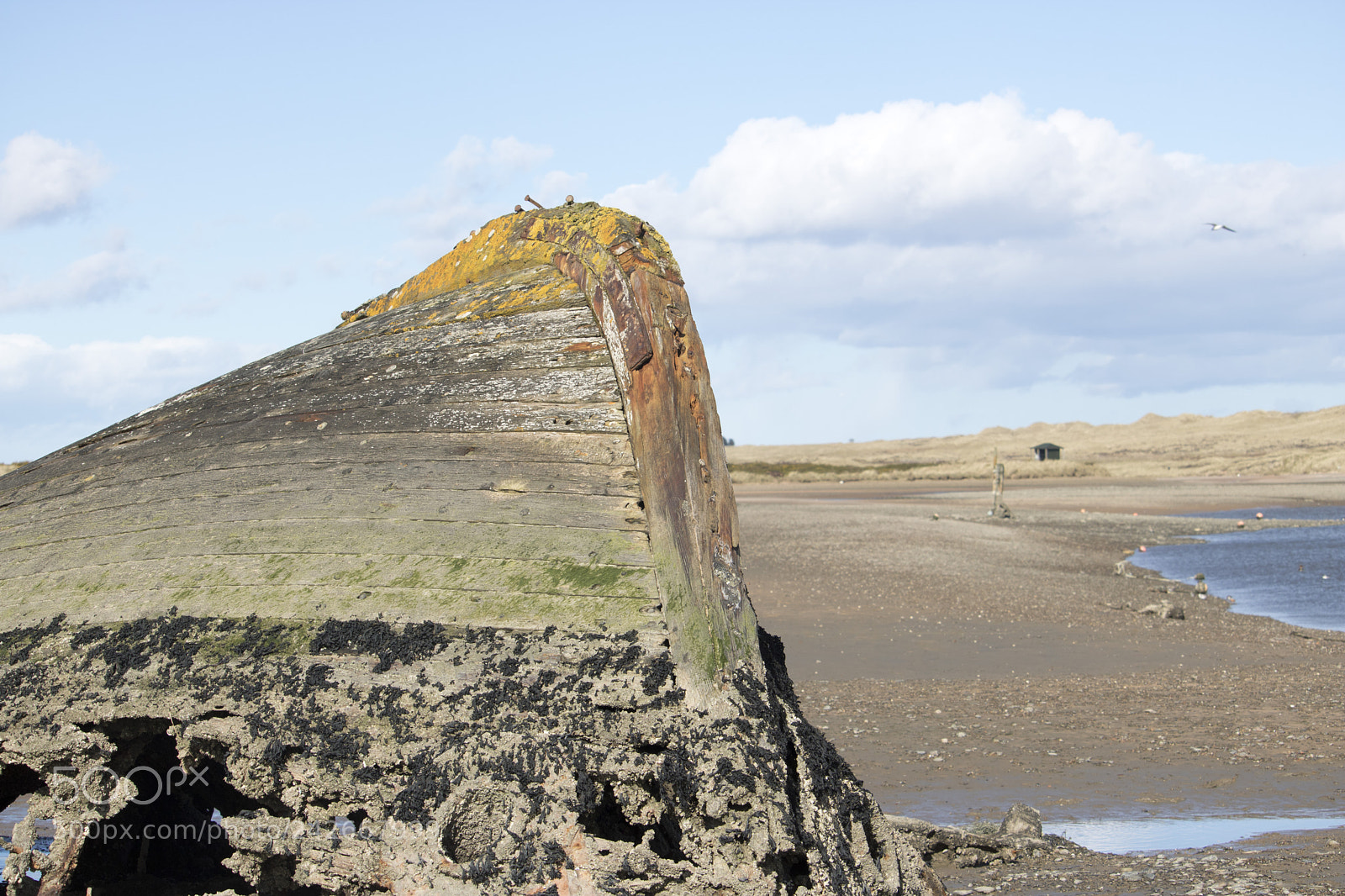 Canon EOS 750D (EOS Rebel T6i / EOS Kiss X8i) sample photo. View of wreck on photography