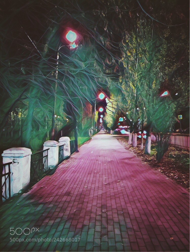 Apple iPhone 7 Plus sample photo. Untitled photography