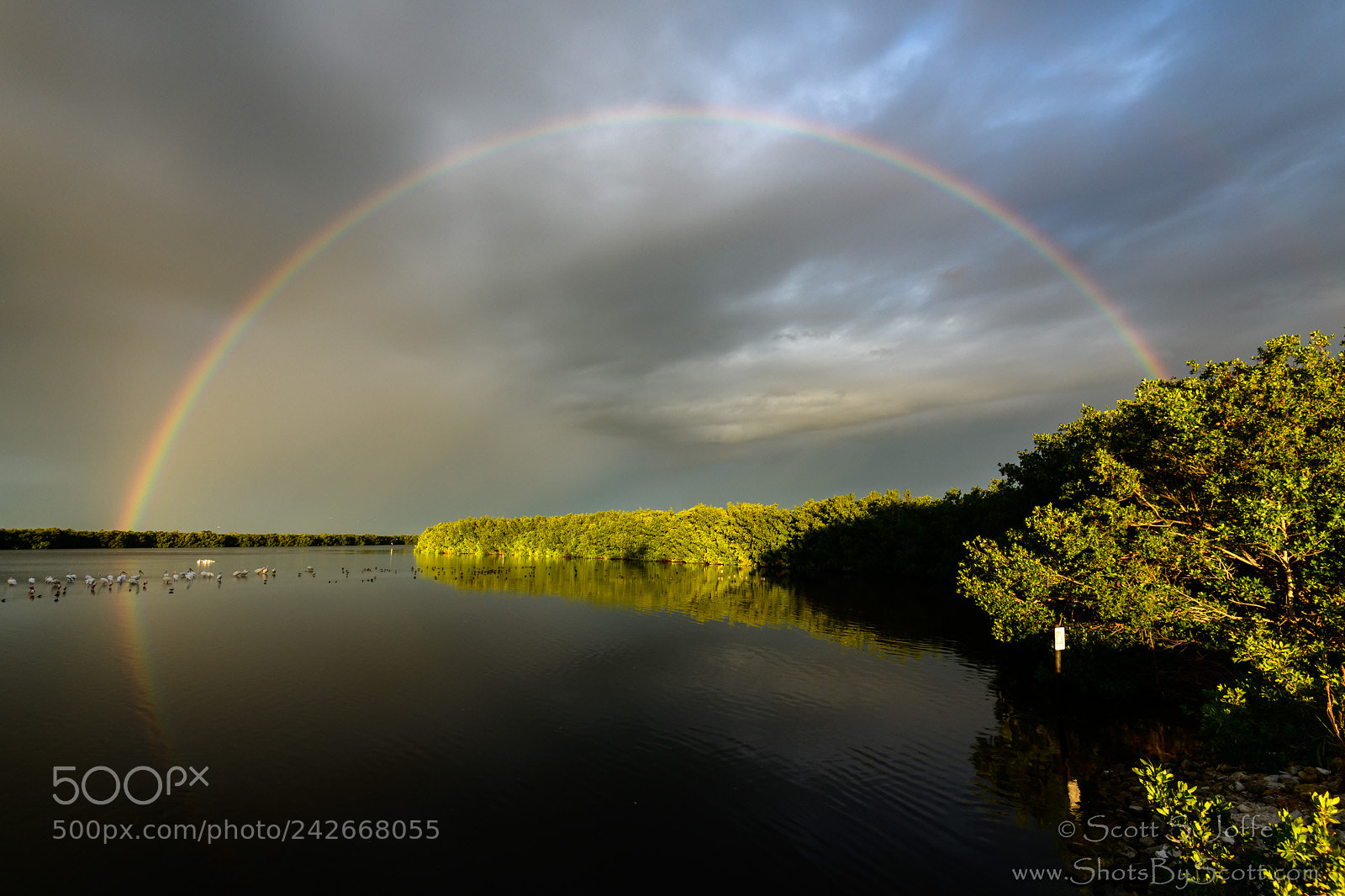 Nikon D850 sample photo. Sanibel island rainbow photography