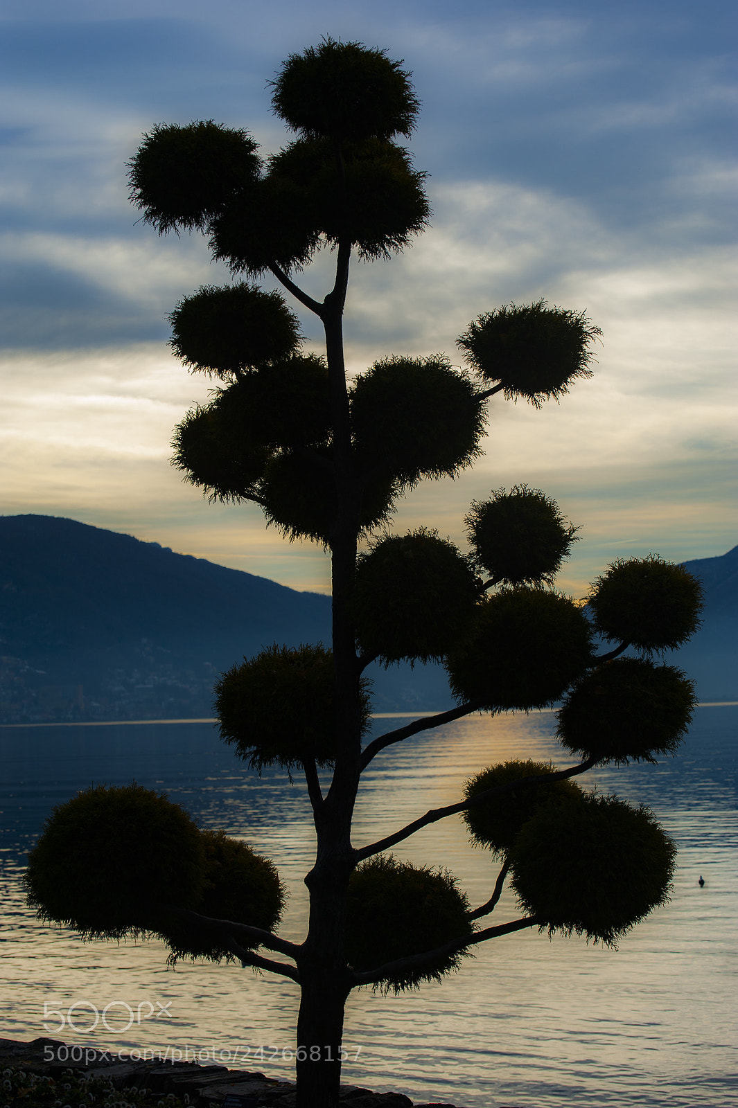 Nikon D700 sample photo. One, two, tree photography