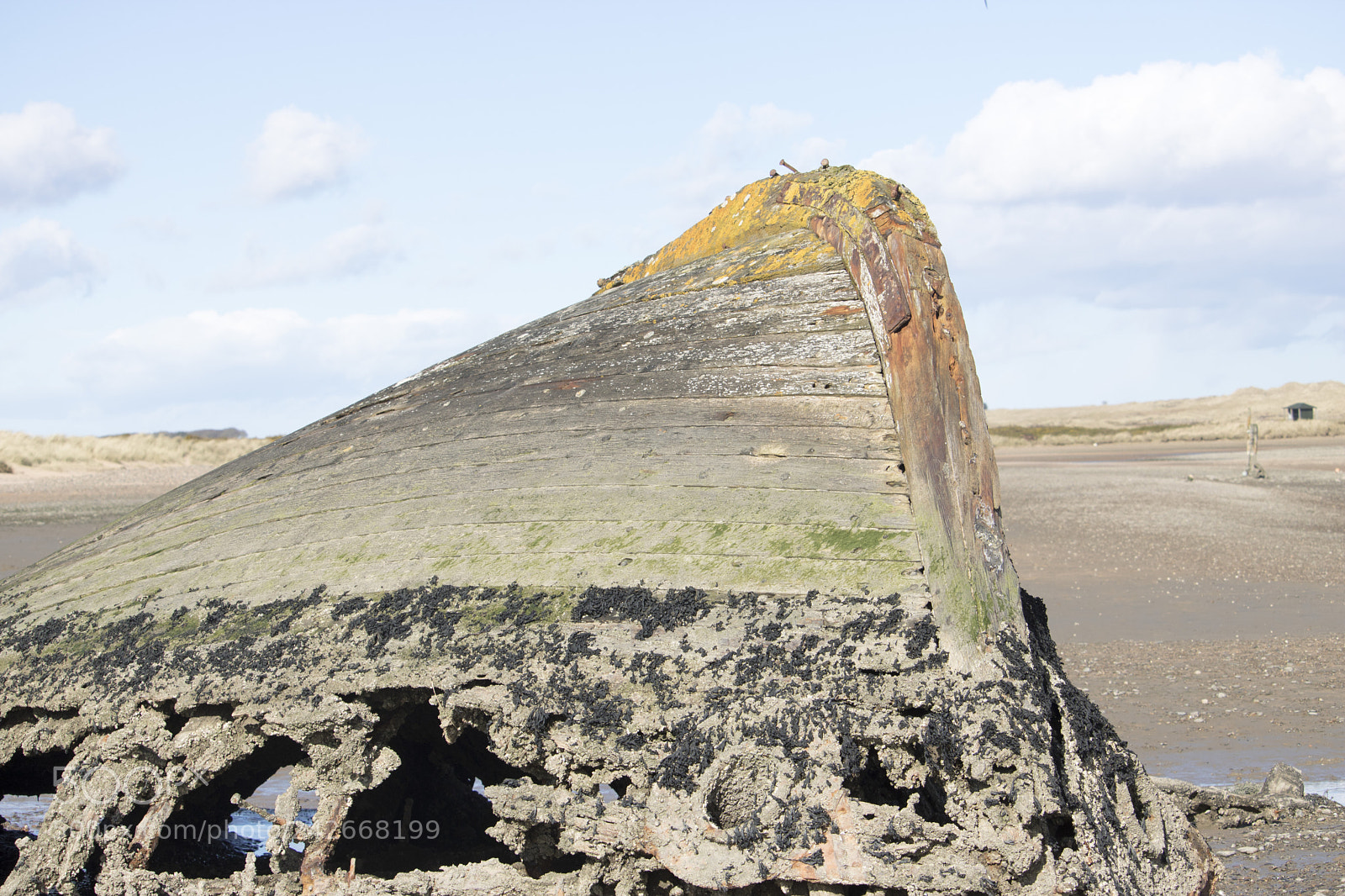 Canon EOS 750D (EOS Rebel T6i / EOS Kiss X8i) sample photo. View of wreck on photography