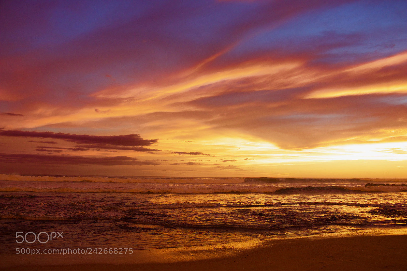 Canon EOS 700D (EOS Rebel T5i / EOS Kiss X7i) sample photo. Exotic sunset photography
