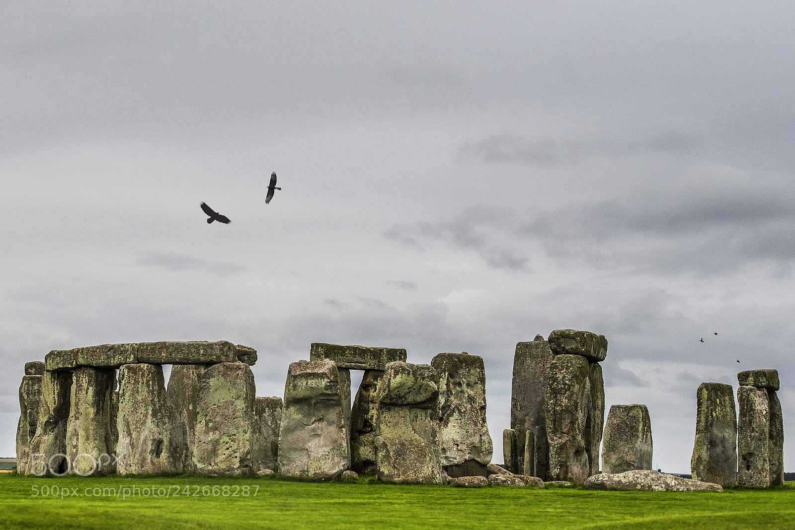 Nikon D810 sample photo. Stone henge photography