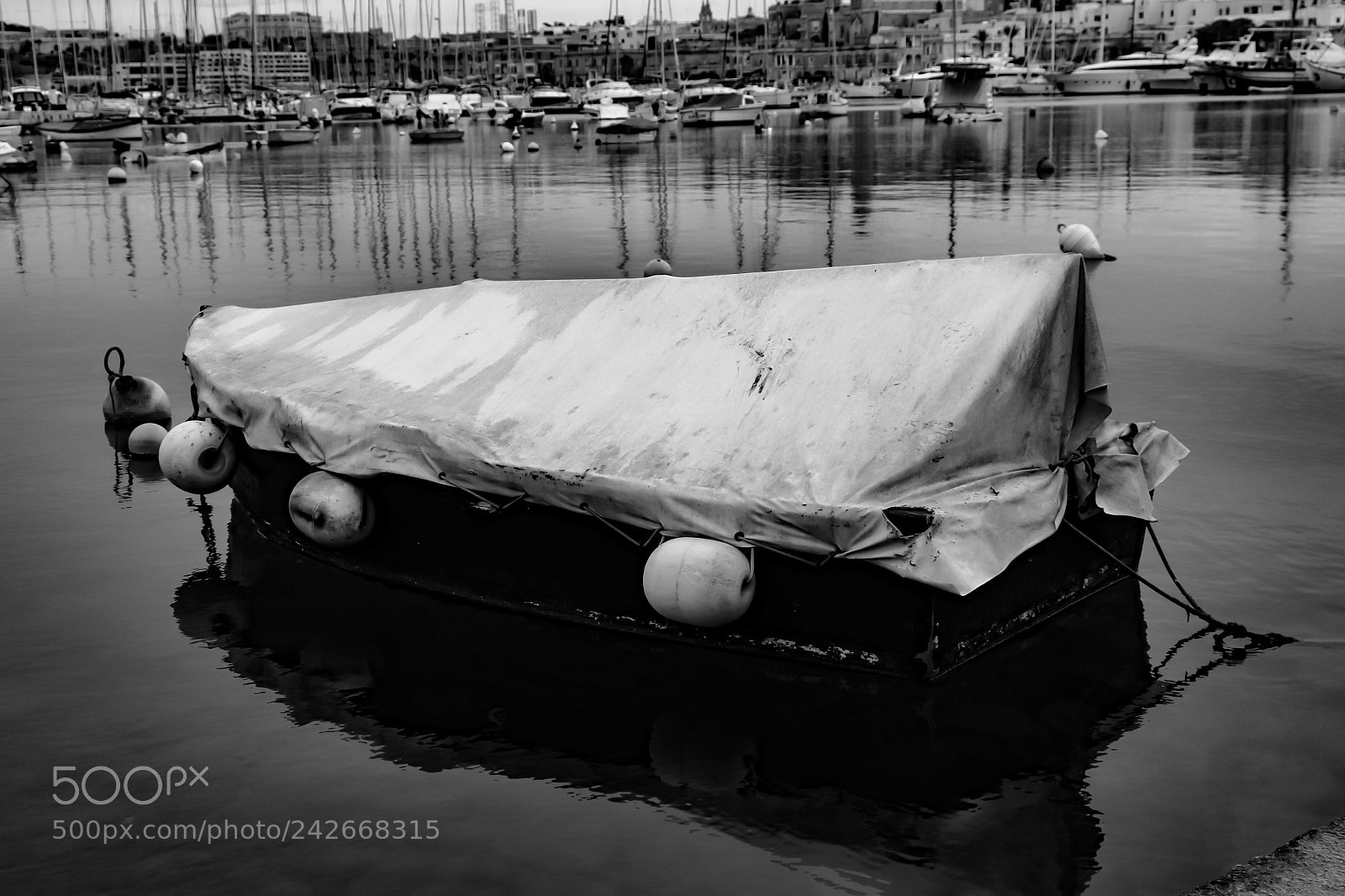 Canon EOS 800D (EOS Rebel T7i / EOS Kiss X9i) sample photo. Fisherman blues photography