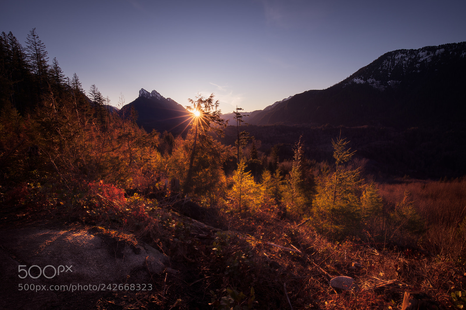 Sony a7R III sample photo. Sunrise from heybrook ridge photography