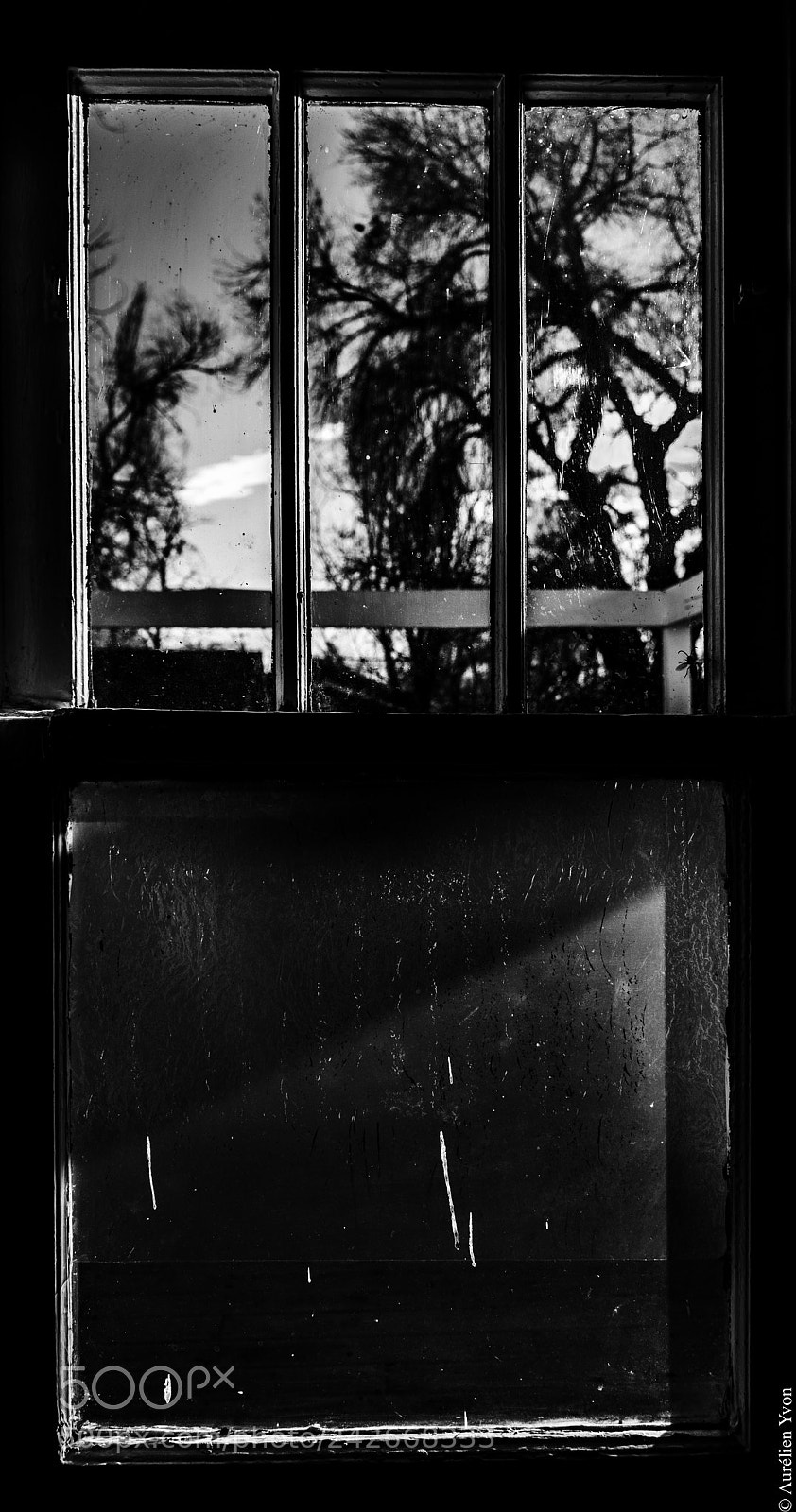 Nikon D3400 sample photo. The window photography