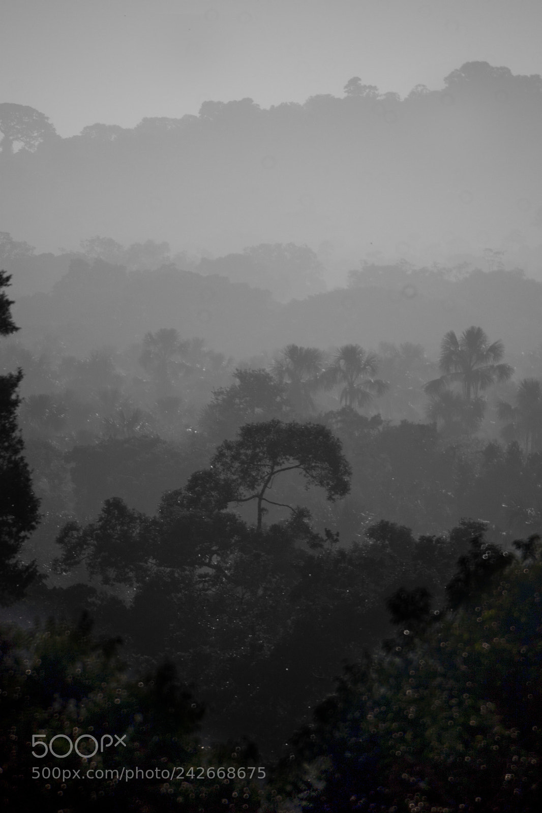 Canon EOS 20D sample photo. Amazon img photography