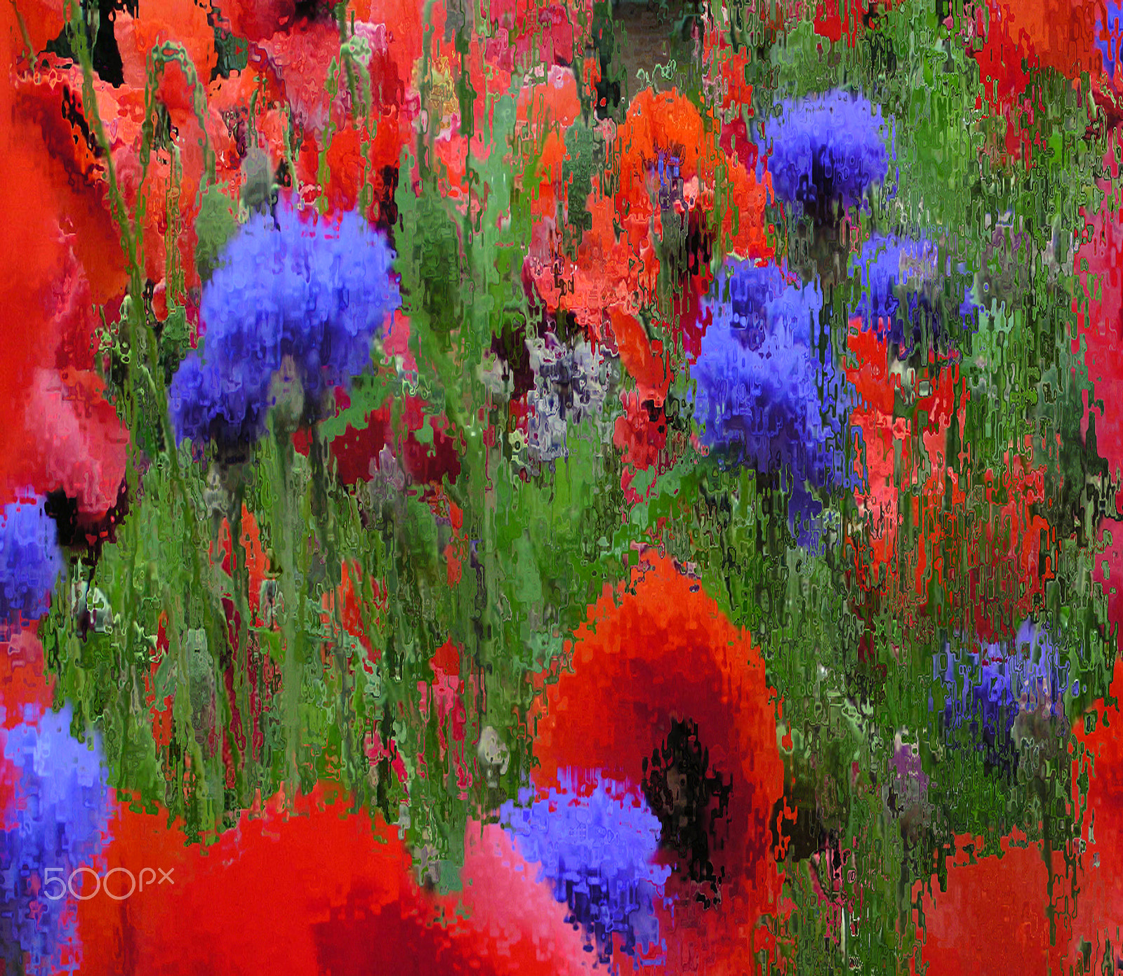 Olympus C730UZ sample photo. Poppies 1 photography
