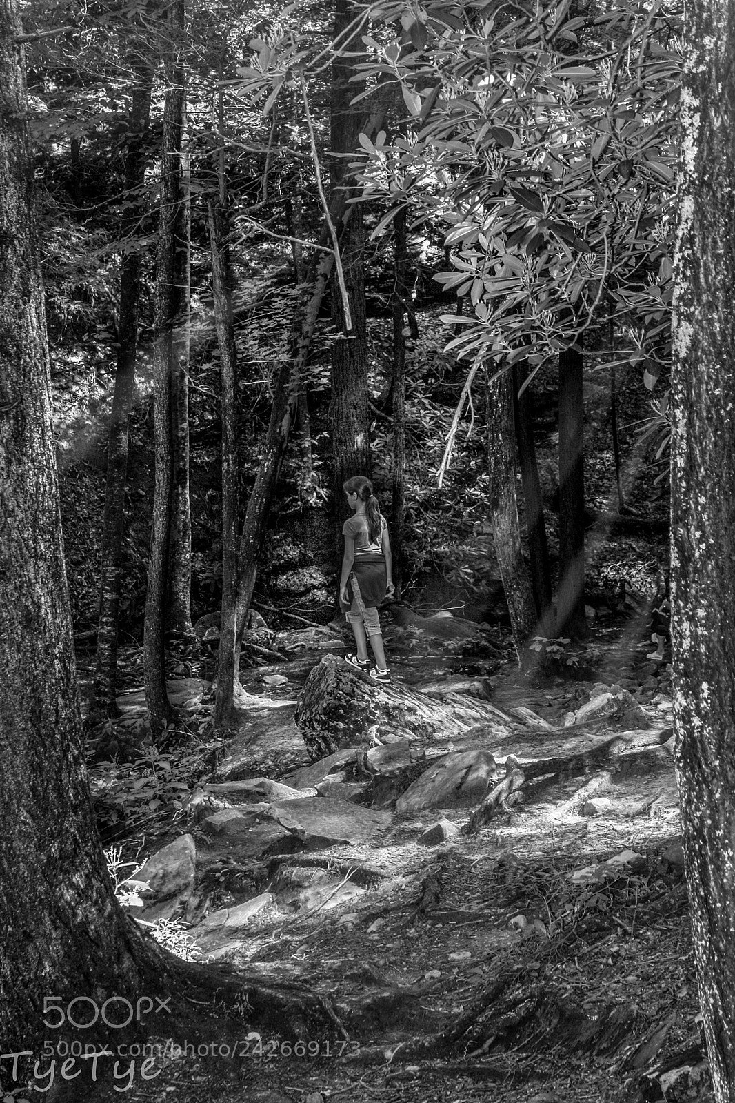 Canon EOS 1000D (EOS Digital Rebel XS / EOS Kiss F) sample photo. Girl in the woods photography