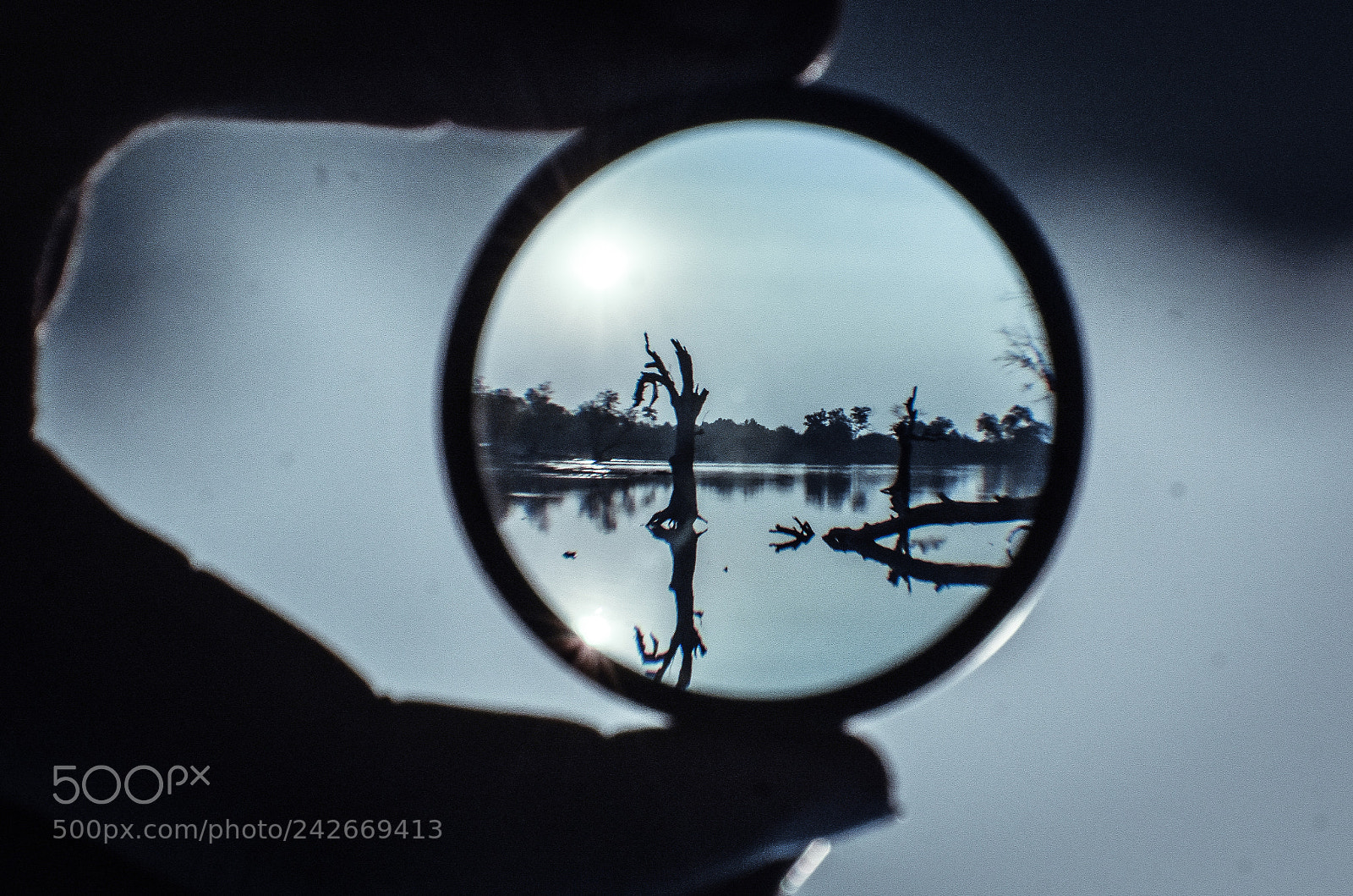 Nikon D3400 sample photo. Morning filter photography