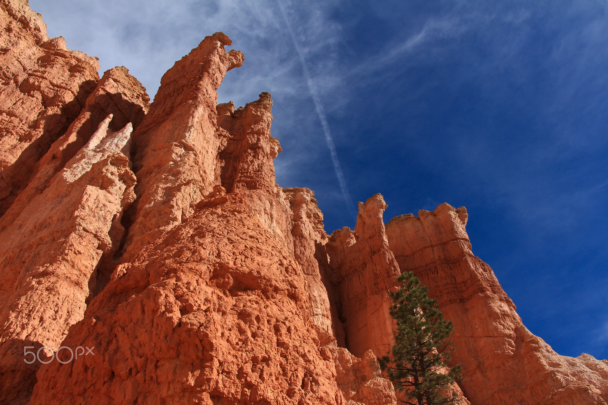 Zion National Park