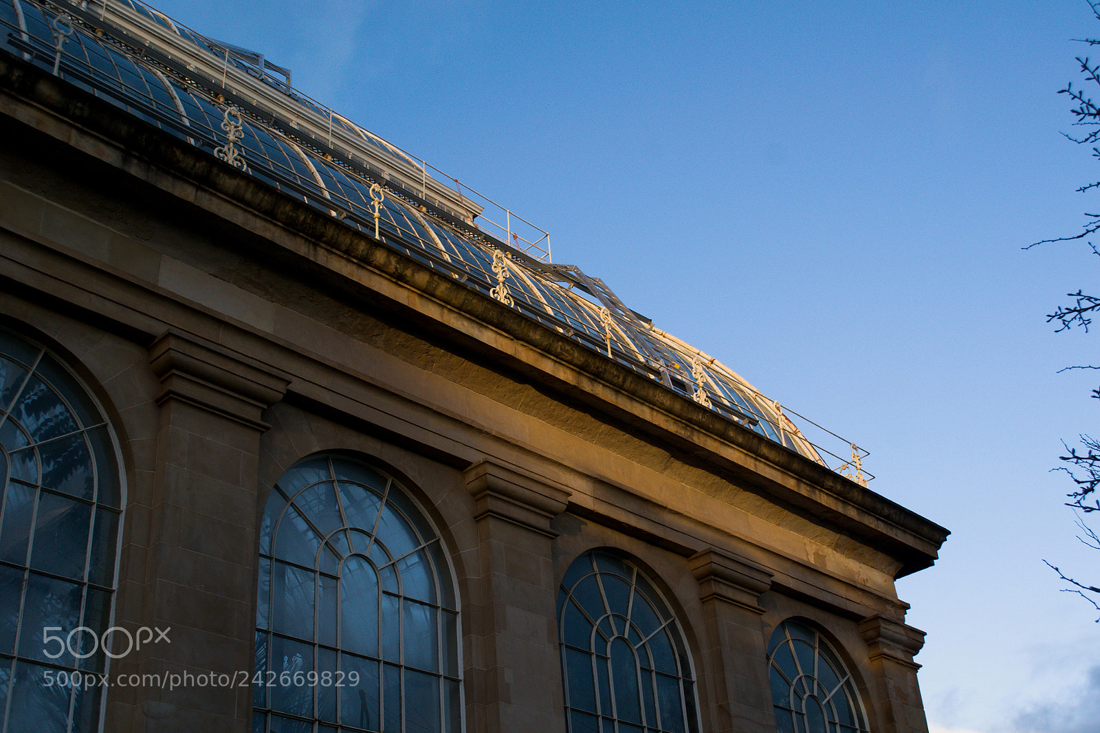 Nikon D3100 sample photo. Glasshouse shadow photography
