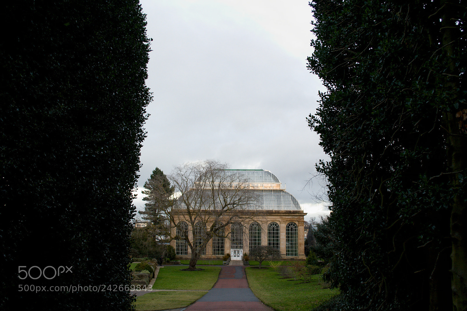 Nikon D3100 sample photo. Glasshouse between trees photography