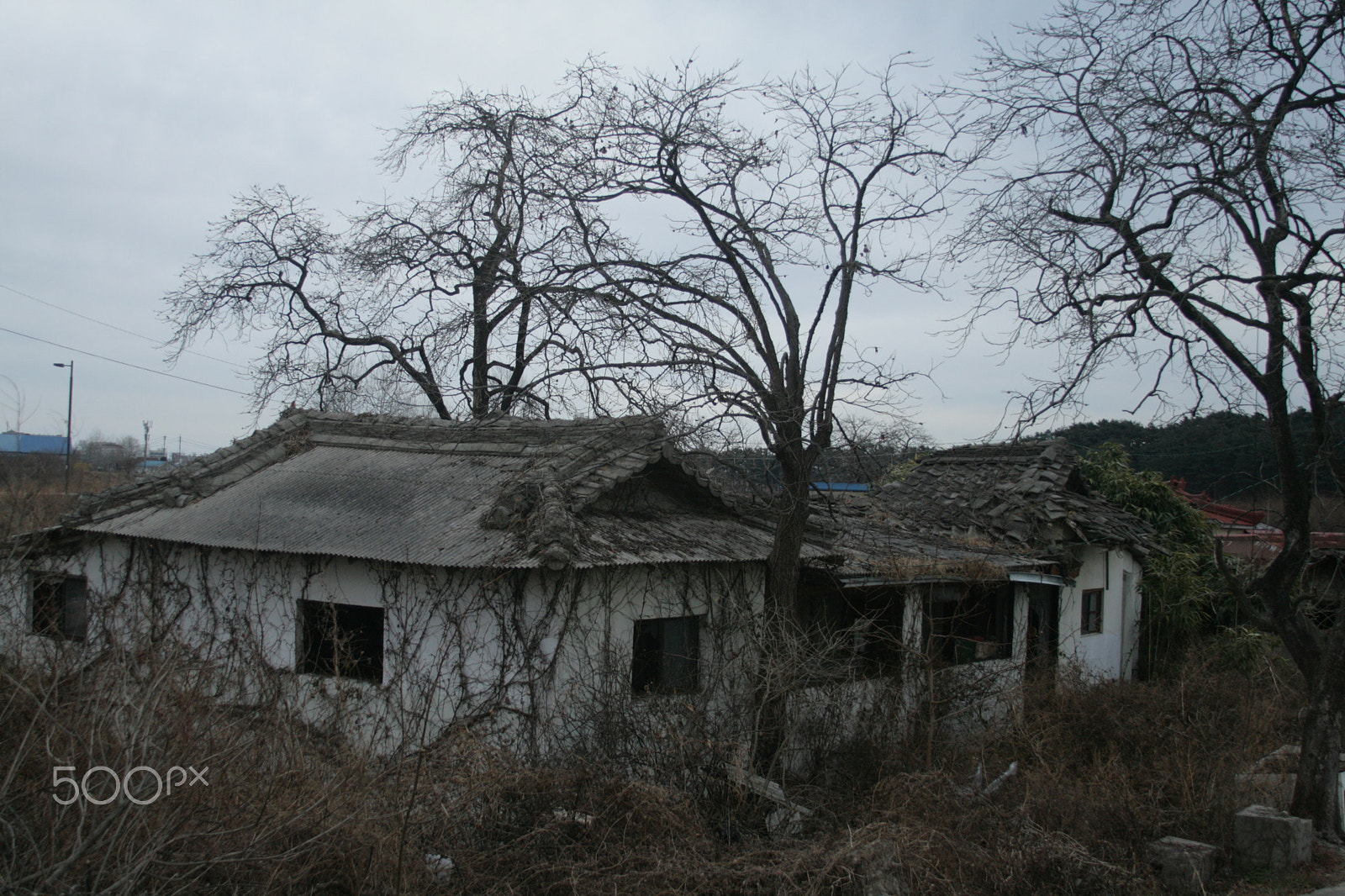 Canon EF 28-135mm F3.5-5.6 IS USM sample photo. Desolate photography
