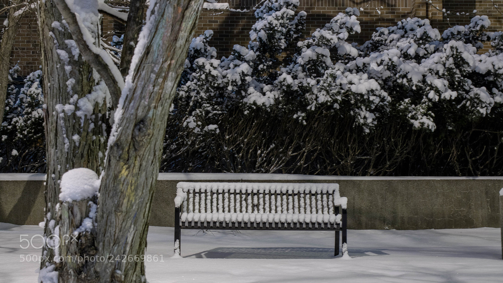 Canon EOS 750D (EOS Rebel T6i / EOS Kiss X8i) sample photo. Bench. photography
