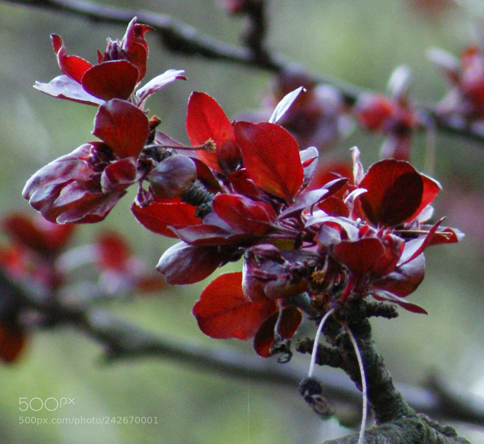 Sony Alpha DSLR-A350 sample photo. Color in january 1 photography