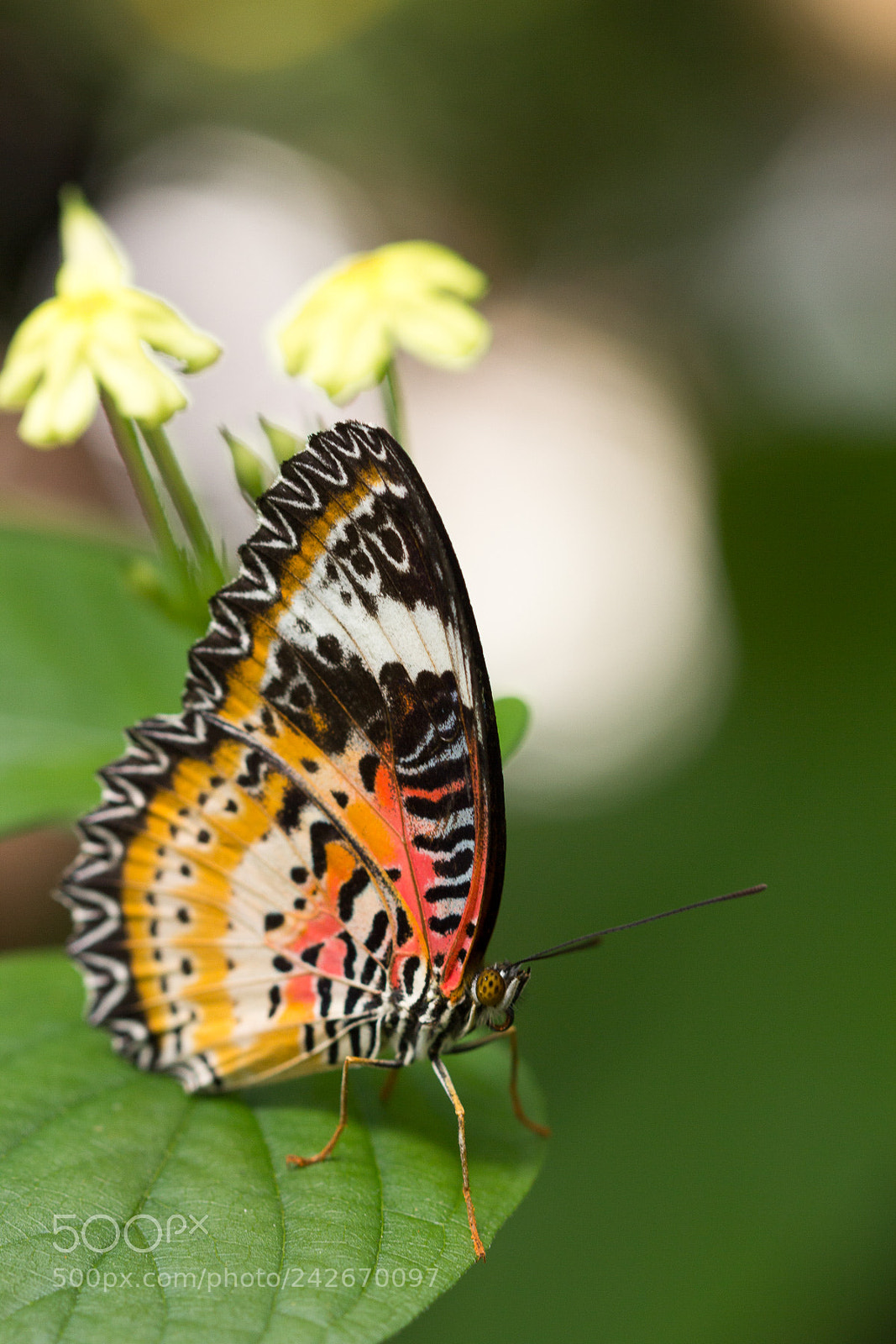 Canon EOS 60D sample photo. On the edge photography