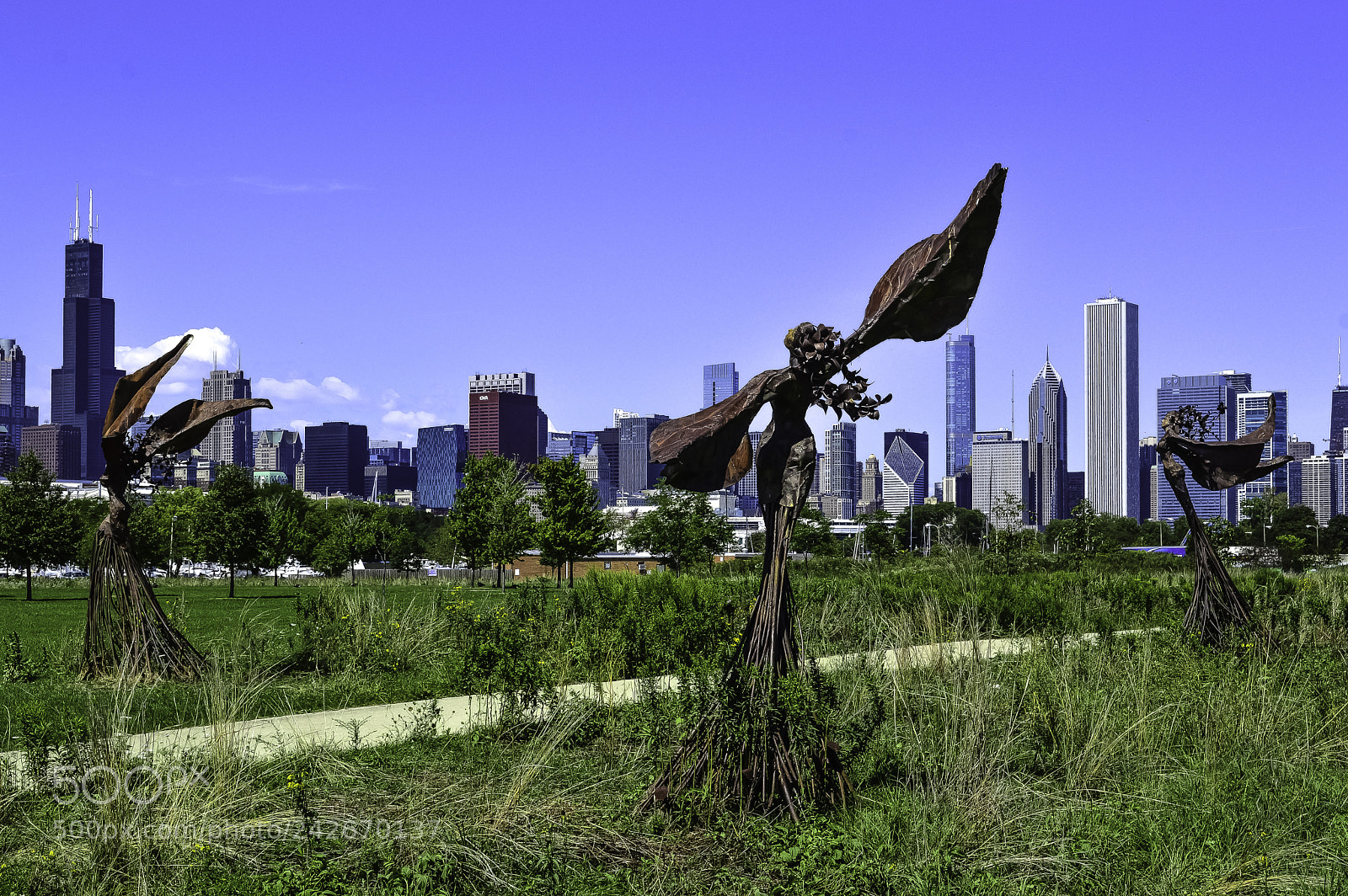 Nikon D3200 sample photo. Northerly island photography