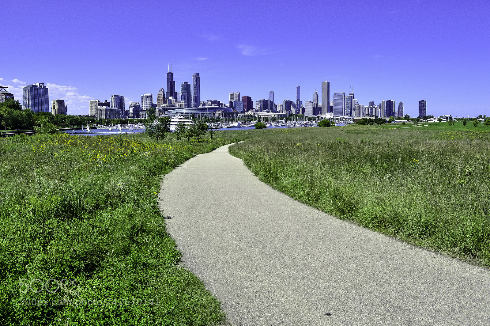 Nikon D3200 sample photo. Northerly island photography