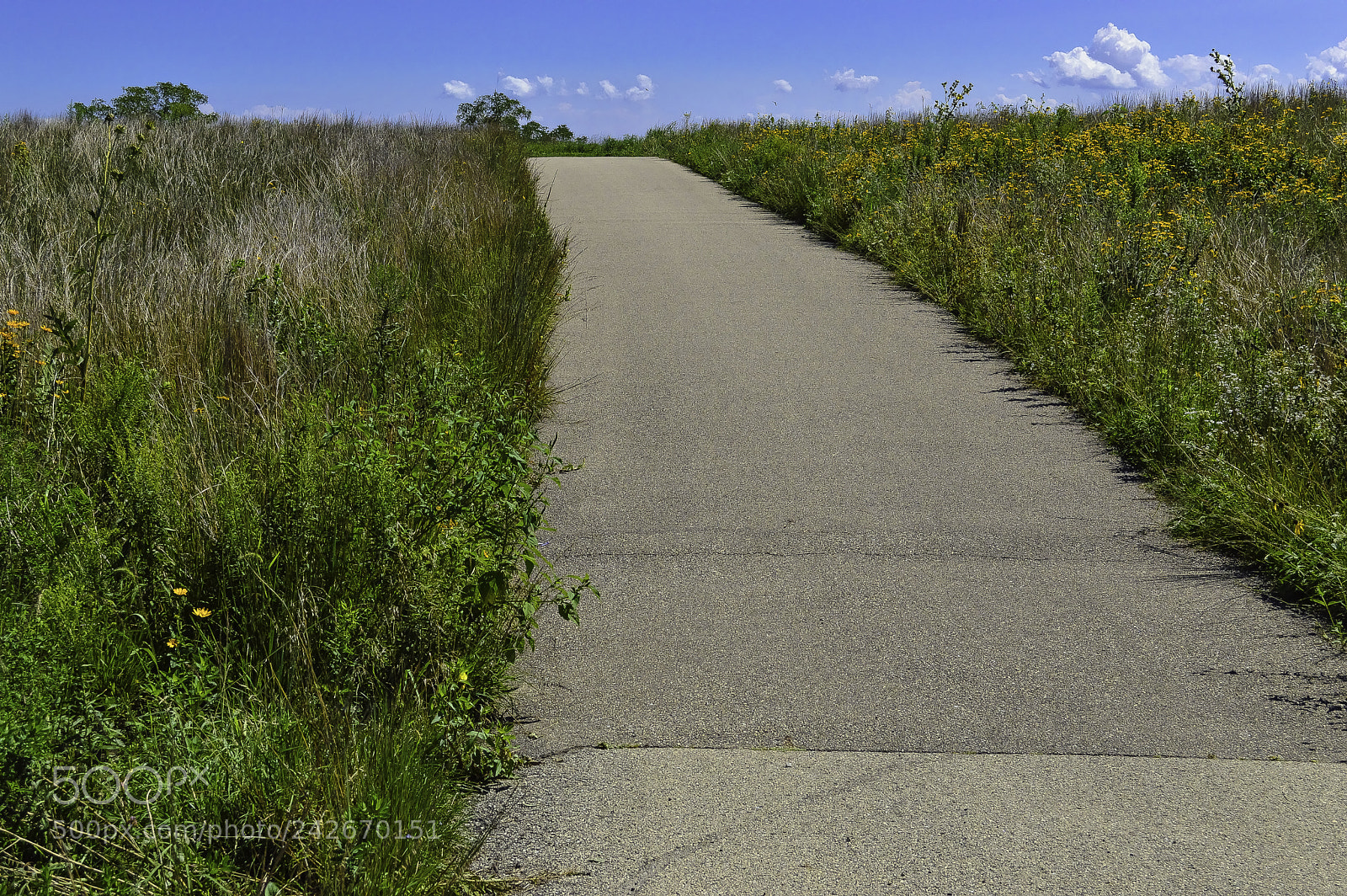 Nikon D3200 sample photo. Northerly island photography