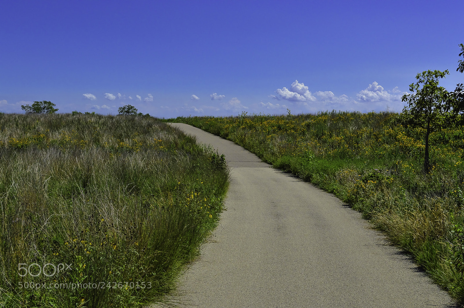 Nikon D3200 sample photo. Northerly island photography