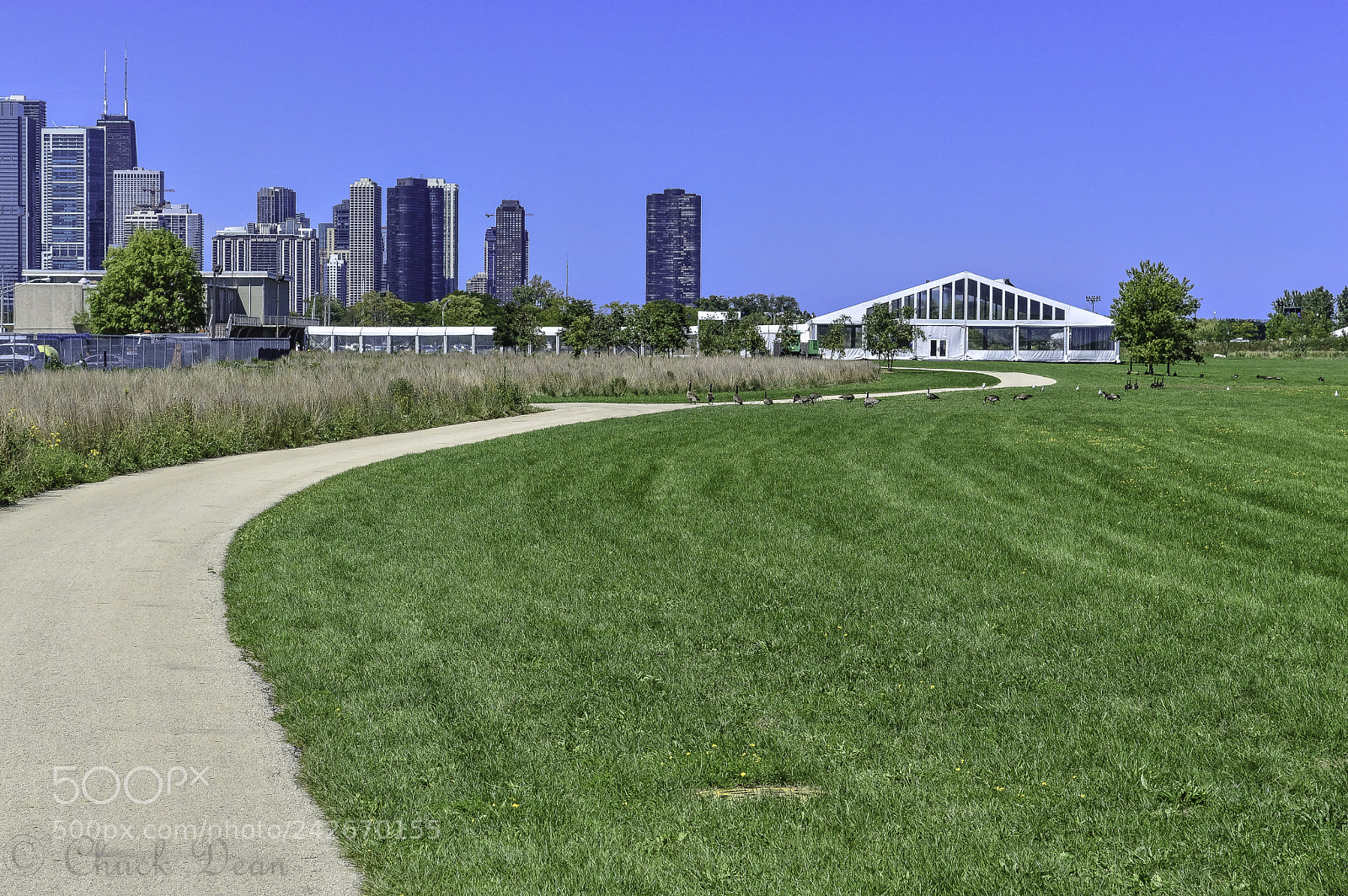 Nikon D3200 sample photo. Northerly island photography