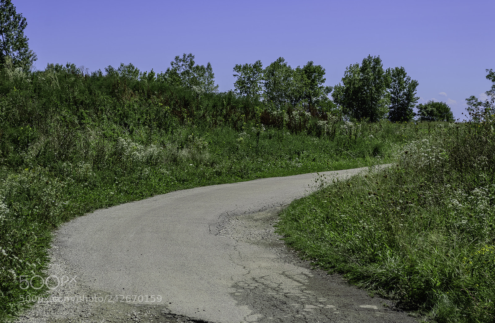 Nikon D3200 sample photo. Northerly island photography