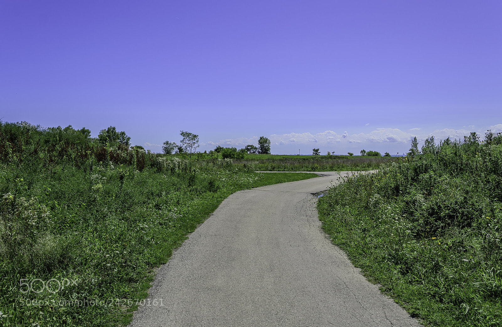 Nikon D3200 sample photo. Northerly island photography
