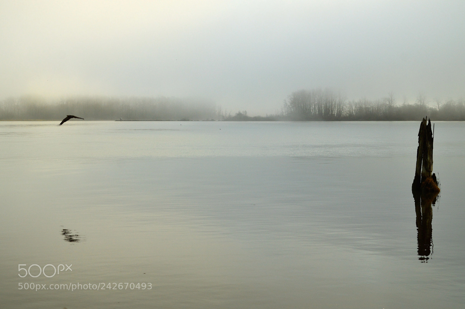Nikon D3200 sample photo. Winter river photography