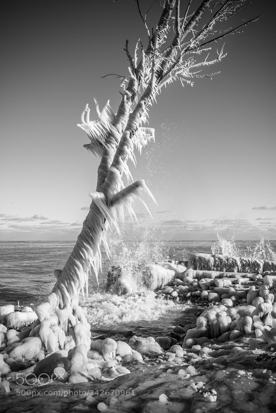 Nikon D810 sample photo. Lake michigan photography