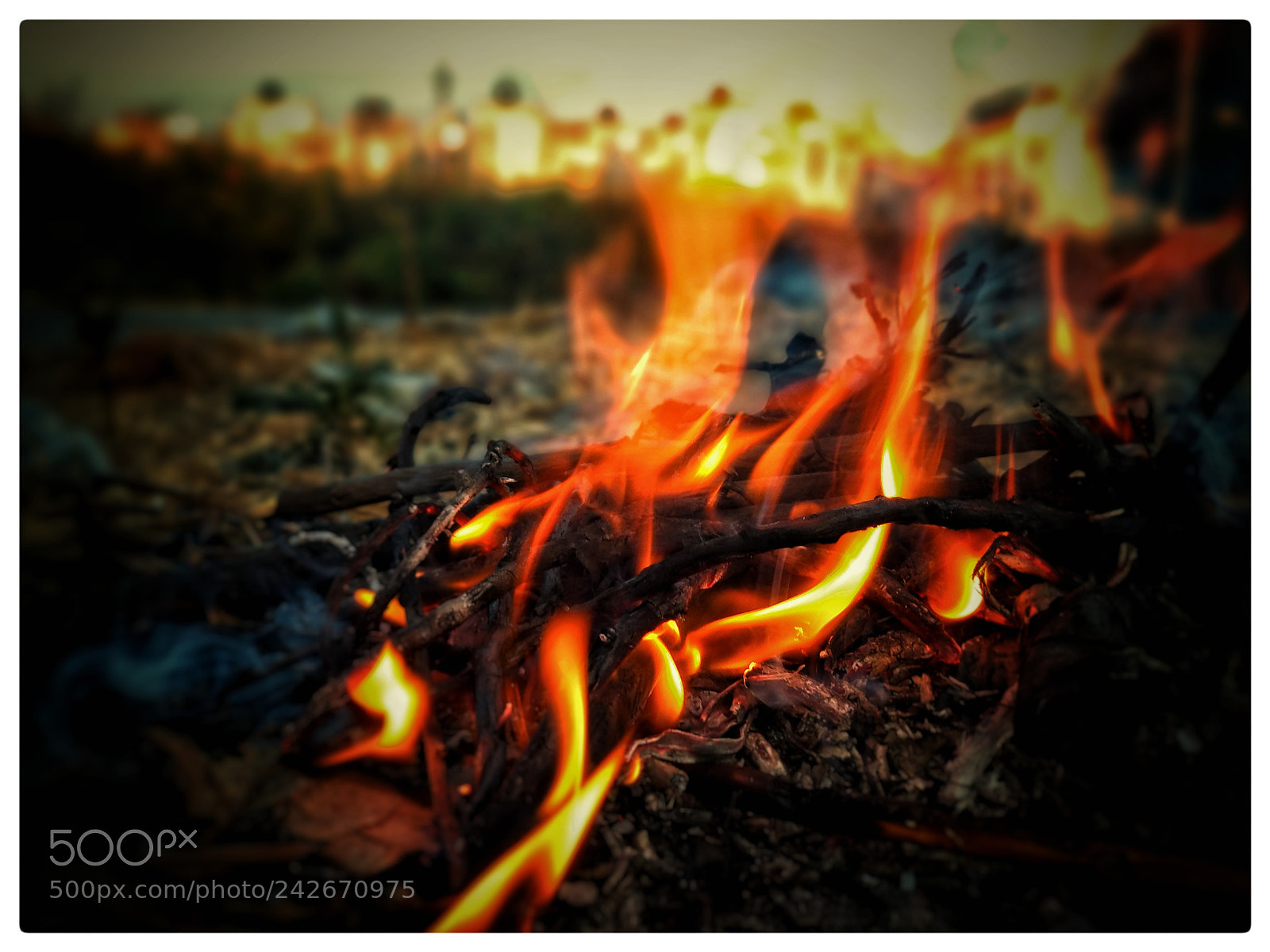 Xiaomi Mi A1 sample photo. Natural fire photography