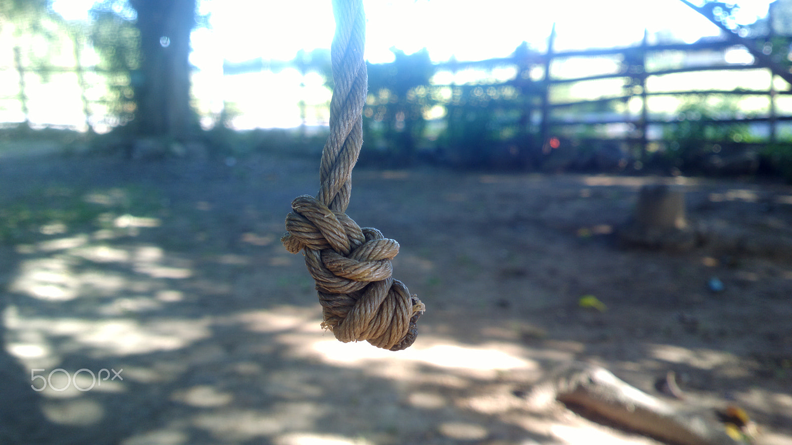 Nokia 808 PureView sample photo. Knot photography