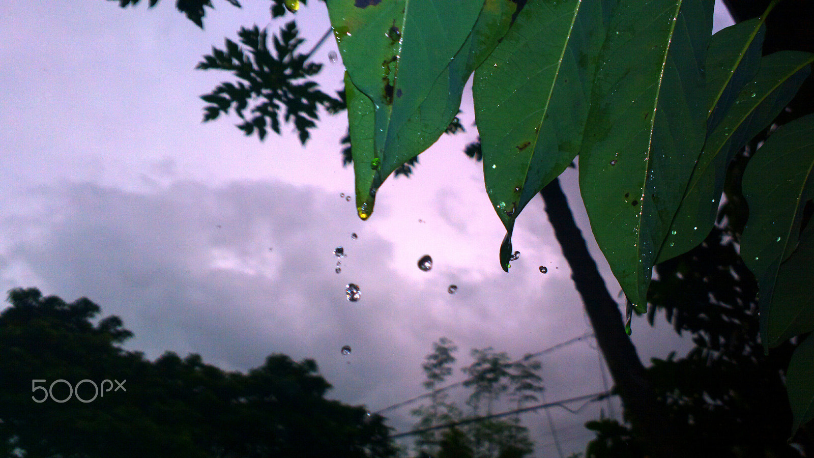 Nokia 808 PureView sample photo. Tear drops photography