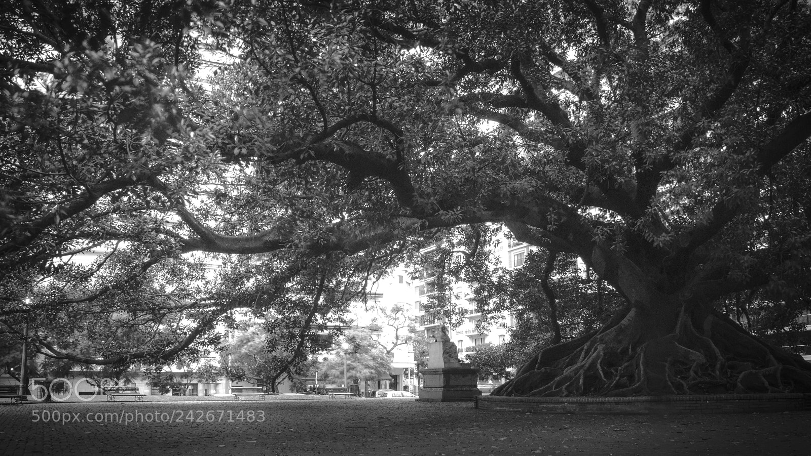 Nikon D5100 sample photo. Remastered photography