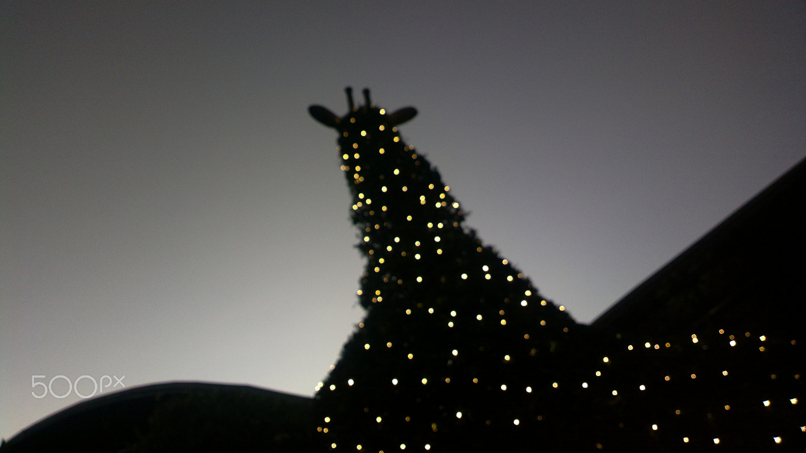 Nokia 808 PureView sample photo. Christmas beyond horizon photography
