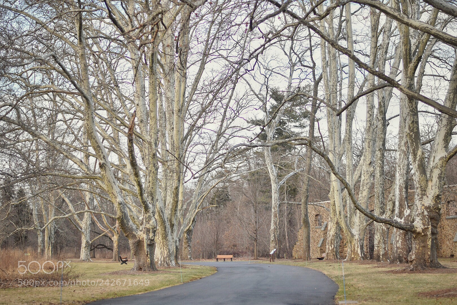 Nikon D5500 sample photo. Untitled photography