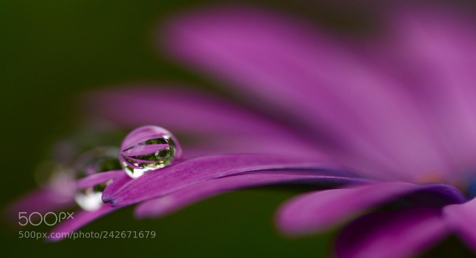 Nikon D3200 sample photo. Tiny... photography