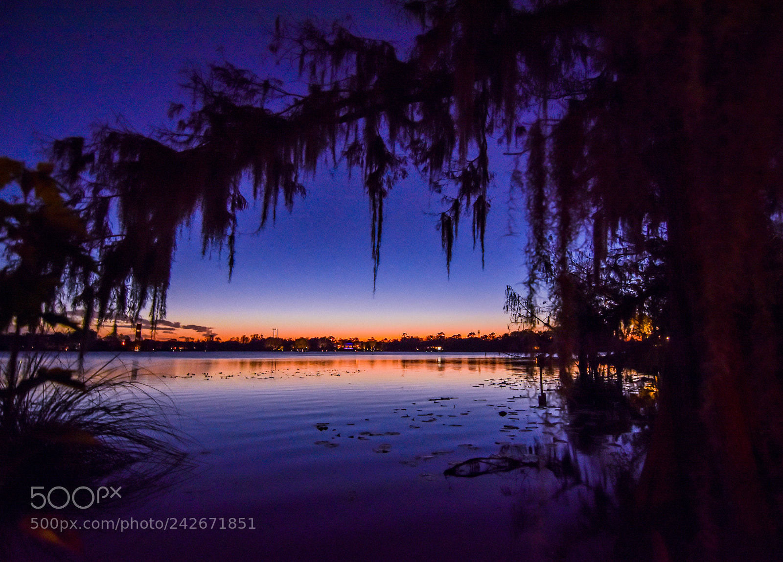 Nikon D7200 sample photo. Blue hour over the photography