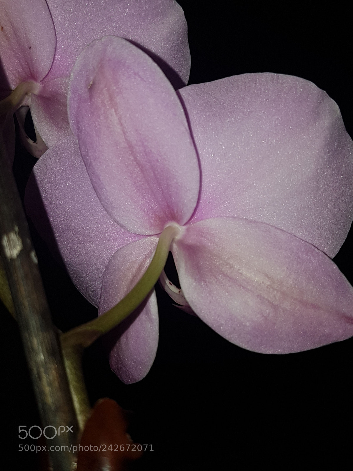 Samsung Galaxy S7 sample photo. Untitled photography