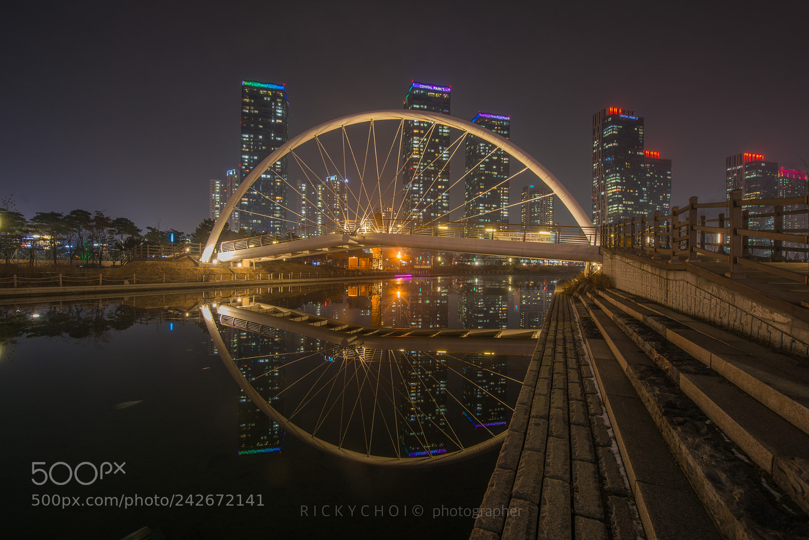 Nikon D810 sample photo. The town at night photography