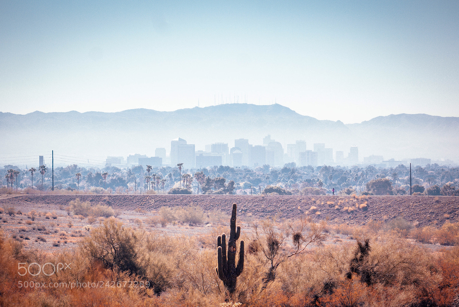 Canon EOS 1200D (EOS Rebel T5 / EOS Kiss X70 / EOS Hi) sample photo. The city of phoenix photography