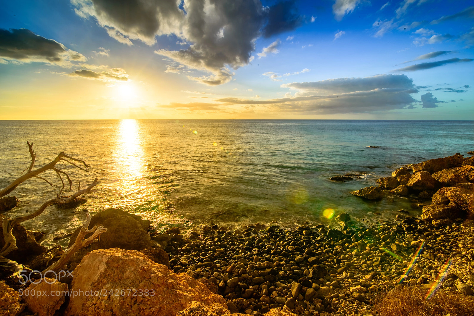 Nikon D800 sample photo. Rocky coast photography