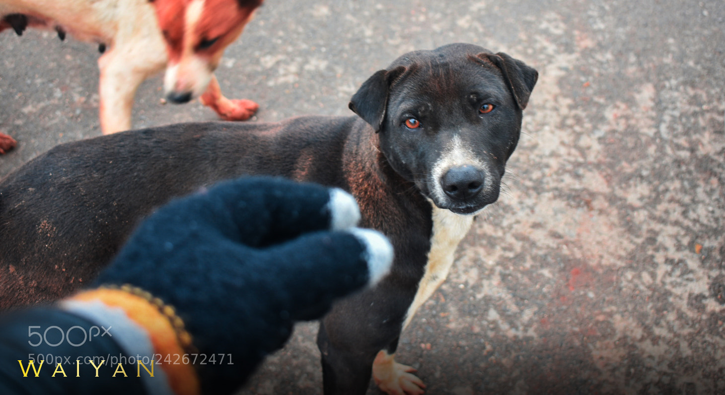 Nikon D3400 sample photo. Untitled photography