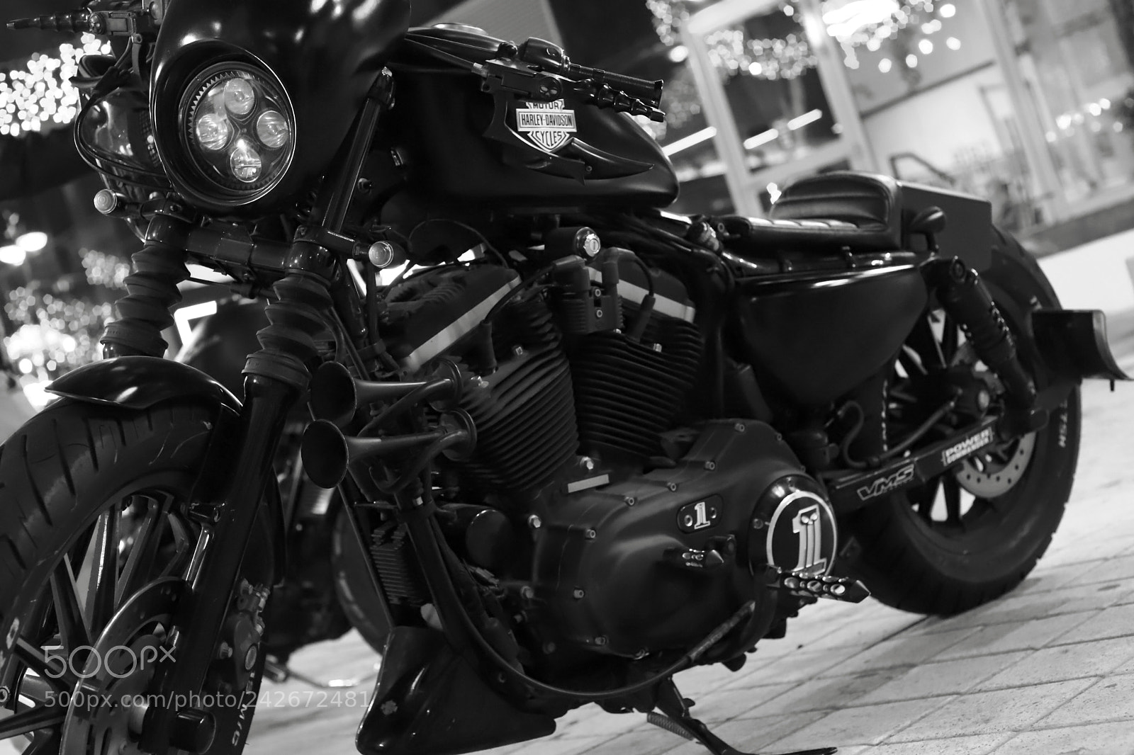Canon EOS 6D Mark II sample photo. Harley the beast! photography